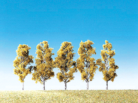 Image for 272-181486 Birches                5/