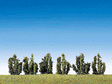 Image for 272-181468 Shrubs 4.5cm 6/