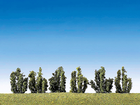Image for 272-181468 Shrubs 4.5cm 6/