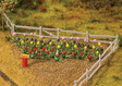 Image for 272-181262 Tulips 48/