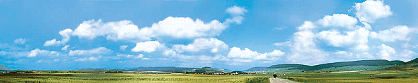 Image for 272-180514 Scene Schwarzwald x 152"L