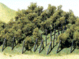 Image for 272-181490 Vines w/poles 3cm H/N 36/