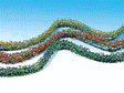 Image for 272-181443 Bushes/Hedges Red/Grn/Ylw