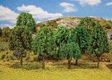 Image for 272-181477 Mixed Forest Trees 20/
