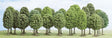 Image for 189-6587 Decid Trees 35-55mm 25/
