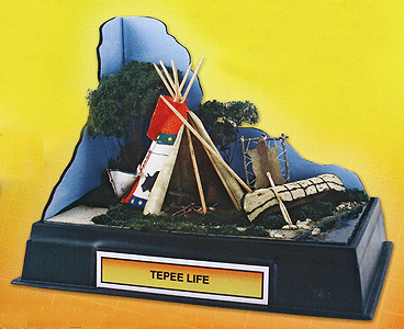Image for 785-4280 Prjct Native Amrcn Indian