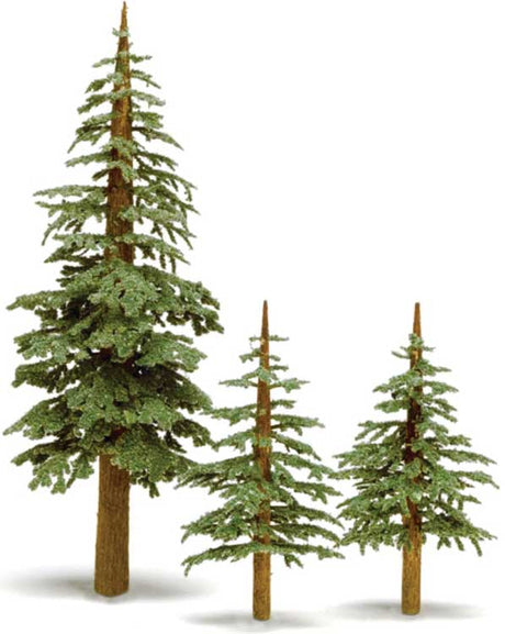 Image for 295-T37 Lodgepole Pine Med 2/