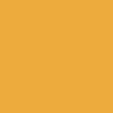 True Color Paint 808 Flat Brushable Color Acrylic Paints - 1oz  29.6mL -- Yellow  Part #  709-808