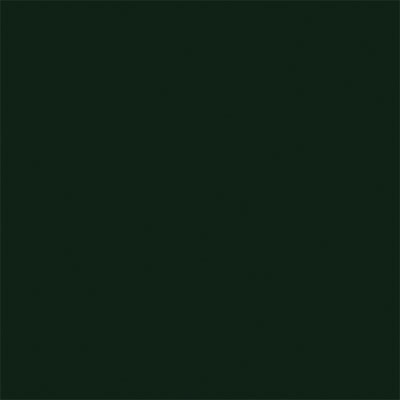 True Color Paint 809 Flat Brushable Color Acrylic Paints - 1oz  29.6mL -- Dark Green  Part #  709-809