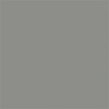 True Color Paint 855 Flat Brushable Color Acrylic Paints - 1oz  29.6mL -- Weathered Gray Wood  Part #  709-855