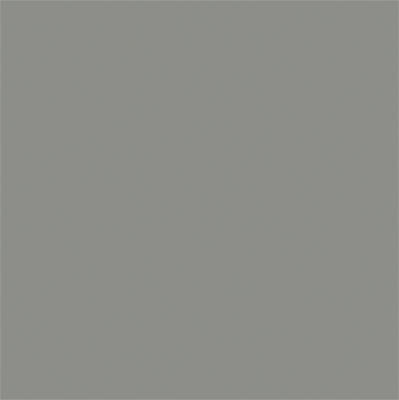 True Color Paint 855 Flat Brushable Color Acrylic Paints - 1oz  29.6mL -- Weathered Gray Wood  Part #  709-855