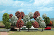 Image for 189-6484 Spring trees          16/