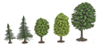 Image for 189-6591 Mixed Forest 3-6cm 50/