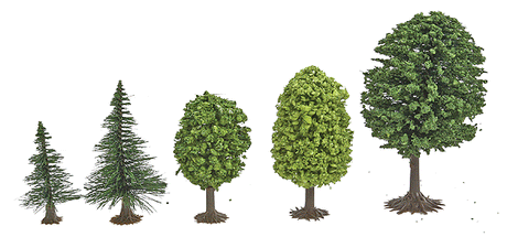 Image for 189-6591 Mixed Forest 3-6cm 50/