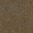 Image for 189-7528 Deciduous Forest-Ground