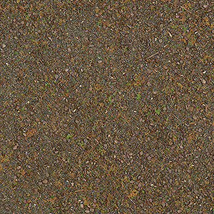 Image for 189-7528 Deciduous Forest-Ground
