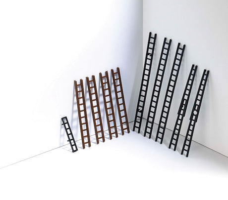 Image for 189-7786 Assorted Ladders 10/