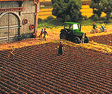Image for 189-7182 Sht Plwd Field 19x11