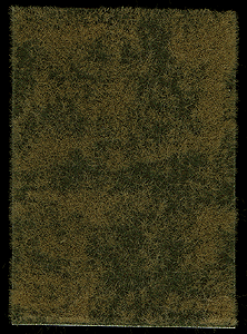 Image for 189-1307 Grndcvr Spring Mdw Grass