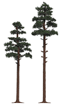 Image for 189-6144 Pine Tree 175 & 210mm 2/