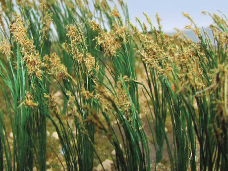 Image for 160-32514 Reeds 1" Tall 40/