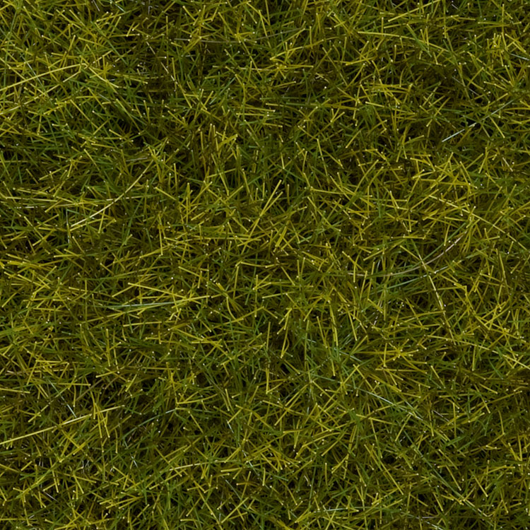 Image for 528-7090 Wild Grass Meadow 100g