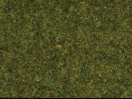 Image for 528-8361 Scatter Grass Meadow