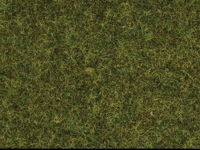 Image for 528-8361 Scatter Grass Meadow