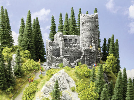Image for 528-58605 Castle Ruin