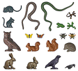 Image for 189-1153 Small Animal Set 8/