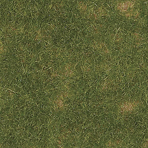 Image for 189-1303 Grndcvr Summer Grass