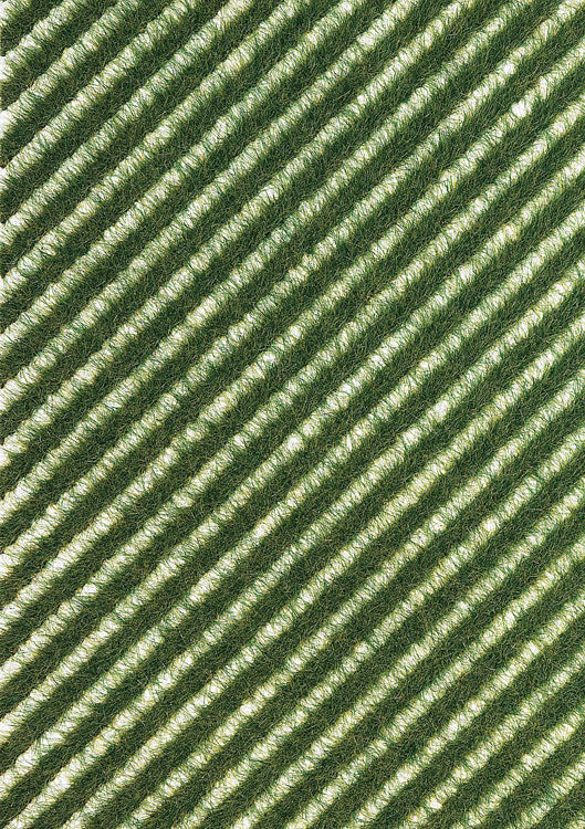 Image for 189-1343 Grass Strips Verge/Summer