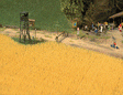 Image for 189-1204 Wheat Field Kit