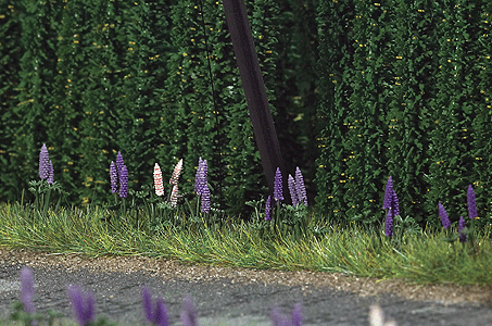 Image for 189-1217 Wild Lupines 16/