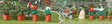Image for 189-1235 Christmas Flower Set 9/