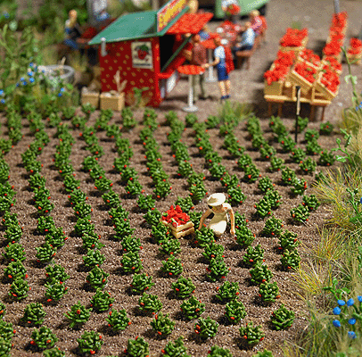Image for 189-1265 Strawberry Plants 40/