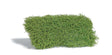 Image for 189-3596 Shrubs Spring