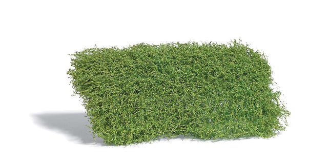 Image for 189-3596 Shrubs Spring