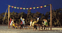 Image for 189-5408 Summer night party set
