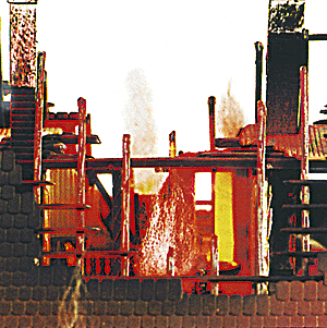 Image for 189-5921 Flames electronic
