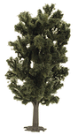 Image for 189-6961 Chestnut Tree