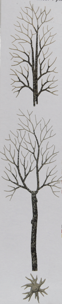 Image for 189-6158 Winter Trees 165mm 4/