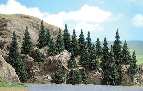 Image for 189-6469 Silver Fir trees      25/