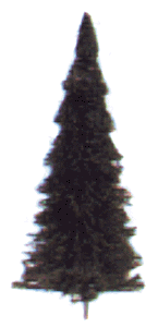 Image for 189-6470 Fir Trees Set 15/