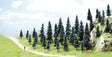 Image for 189-6492 Spruce trees 50-110mm 35/