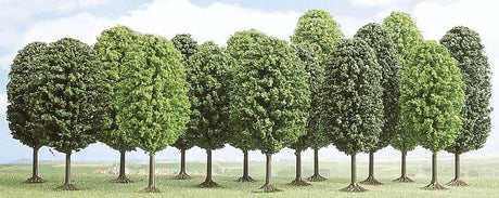 Image for 189-6586 Deciduous Trees Assrt 12/