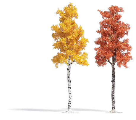 Image for 189-6794 Sycamore & Birch Trees