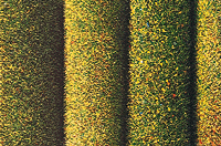 Image for 189-7220 Grass Mat 40x32" Dark Grn
