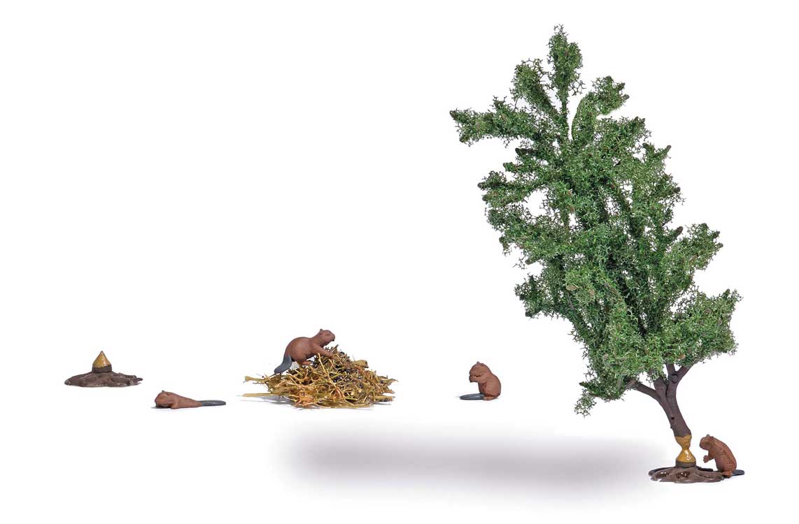 Image for 189-7893 Beaver Lodge & Mini Scene