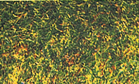 Image for 189-7110 Grass flock drk green